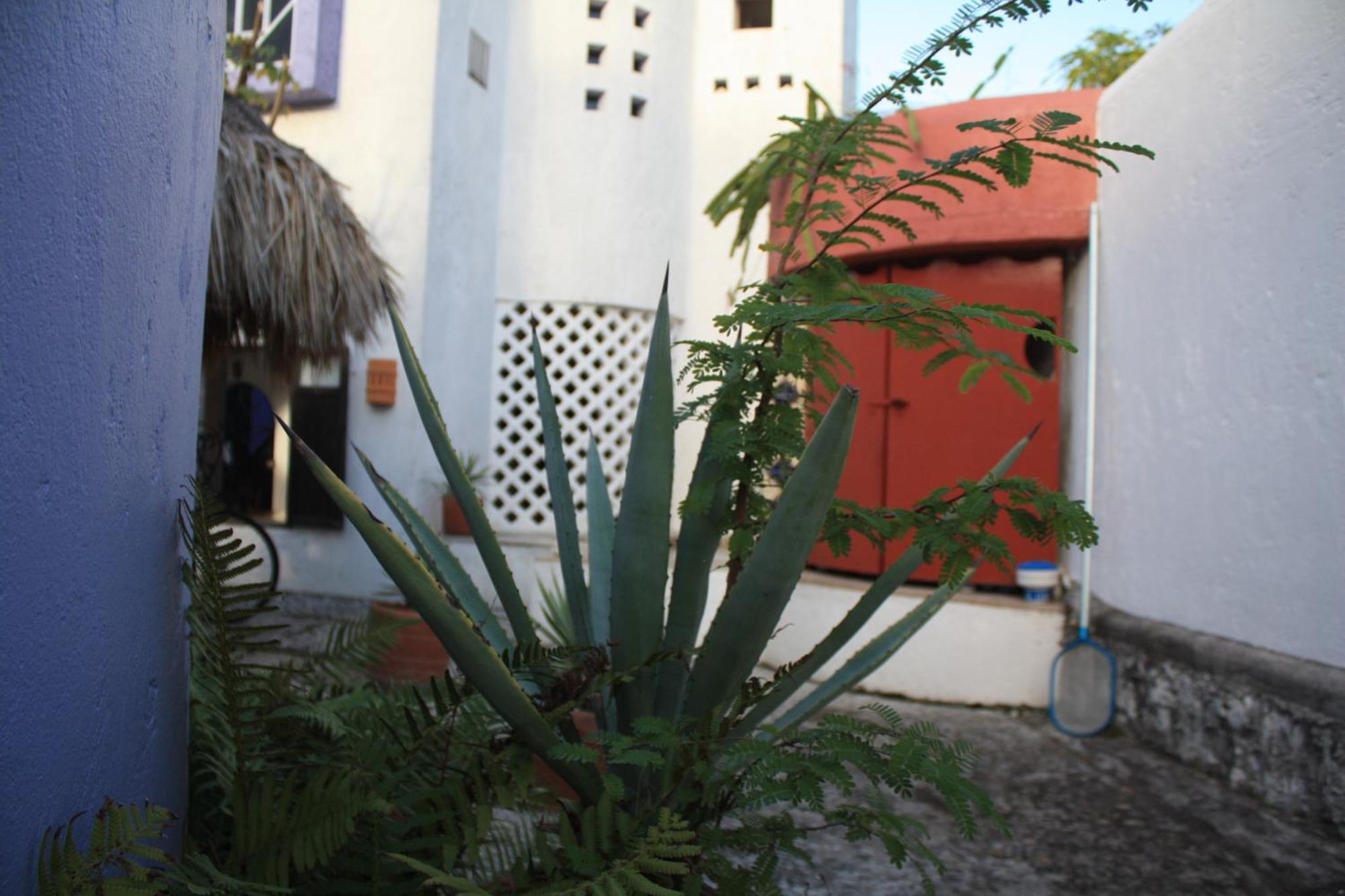 Amaranto Bed And Breakfast Косумель Экстерьер фото